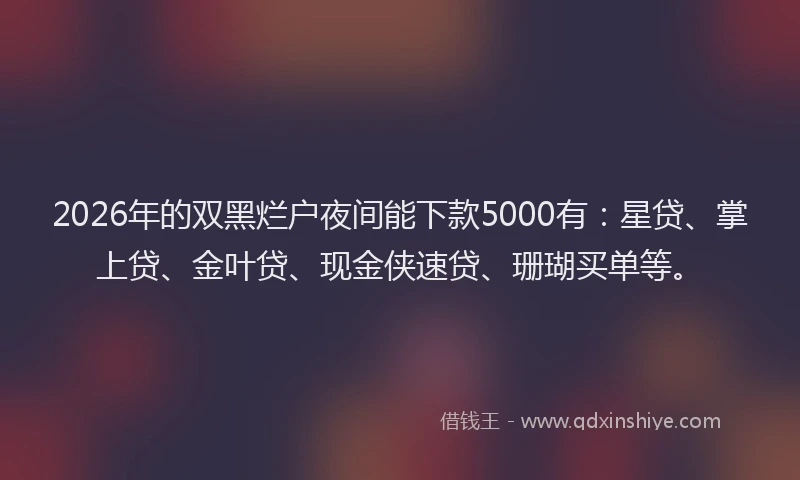 2026年的双黑烂户夜间能下款5000有：星贷、掌上贷、金叶贷、现金侠速贷、珊瑚买单等。