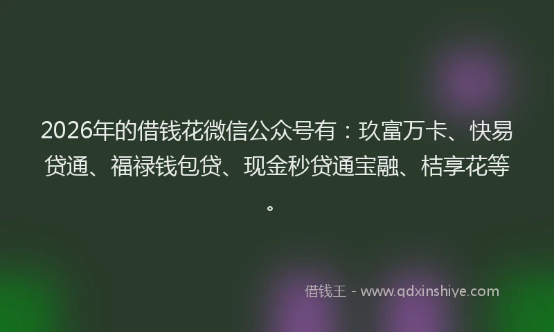 2026年的借钱花微信公众号有：玖富万卡、快易贷通、福禄钱包贷、现金秒贷通宝融、桔享花等。