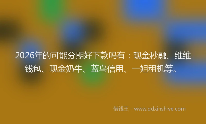 2026年的可能分期好下款吗有：现金秒融、维维钱包、现金奶牛、蓝鸟信用、一姐租机等。