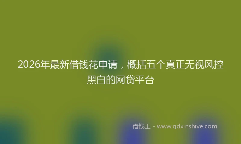 2026年最新借钱花申请,概括五个真正无视风控黑白的网贷平台