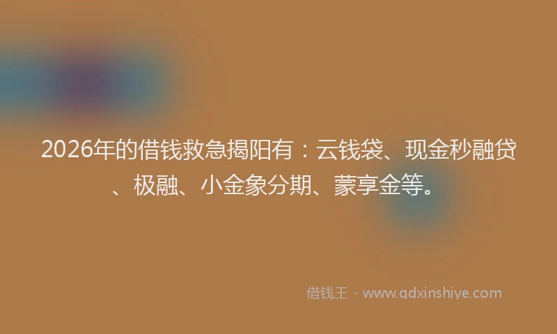 2026年的借钱救急揭阳有：云钱袋、现金秒融贷、极融、小金象分期、蒙享金等。