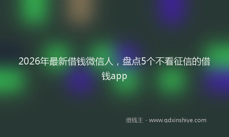 2026年最新借钱微信人，盘点5个不看征信的借钱app