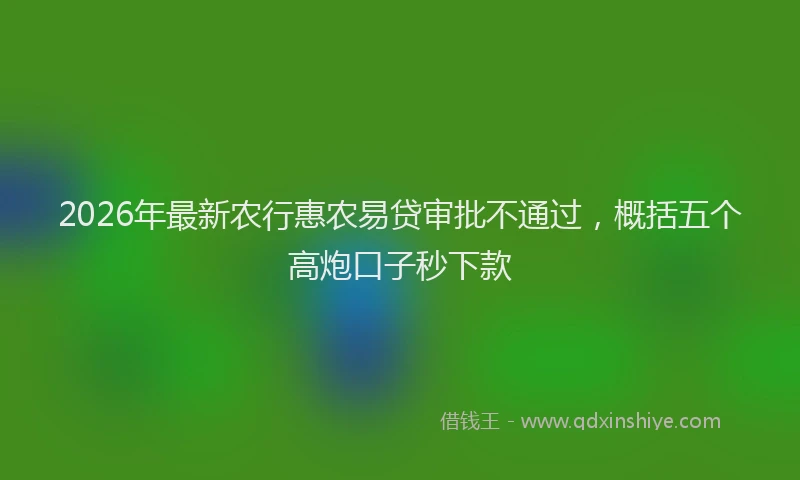 2026年最新农行惠农易贷审批不通过，概括五个高炮口子秒下款
