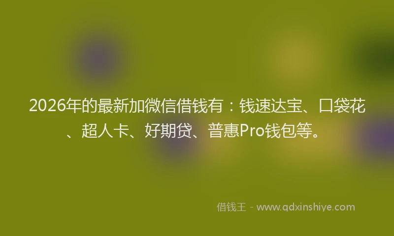 2026年的最新加微信借钱有：钱速达宝、口袋花、超人卡、好期贷、普惠Pro钱包等。