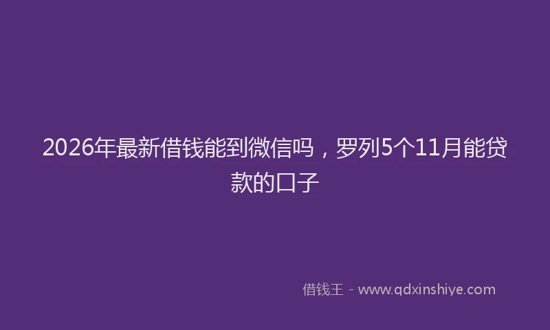 2026年最新借钱能到微信吗，罗列5个11月能贷款的口子