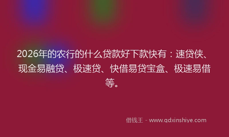 2026年的农行的什么贷款好下款快有：速贷侠、现金易融贷、极速贷、快借易贷宝盒、极速易借等。