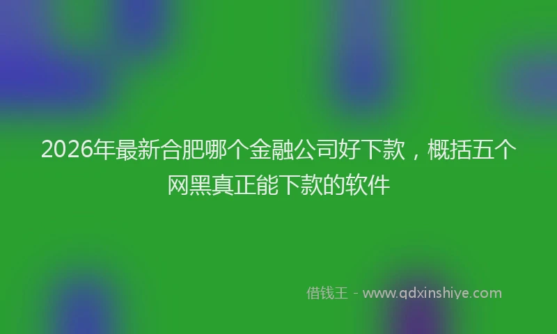 2026年最新合肥哪个金融公司好下款,概括五个网黑真正能下款的软件