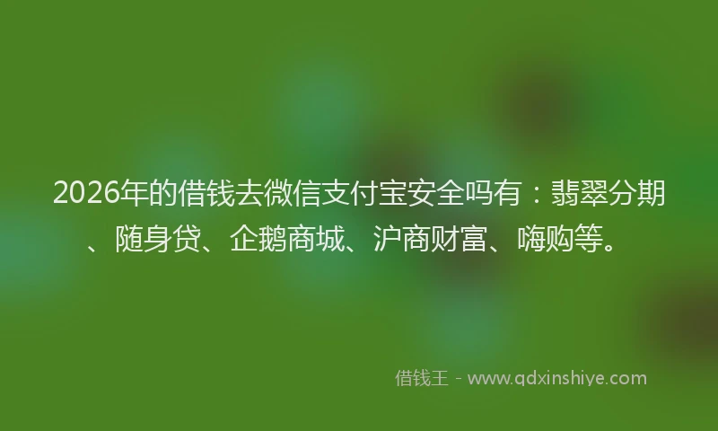 2026年的借钱去微信支付宝安全吗有：翡翠分期、随身贷、企鹅商城、沪商财富、嗨购等。