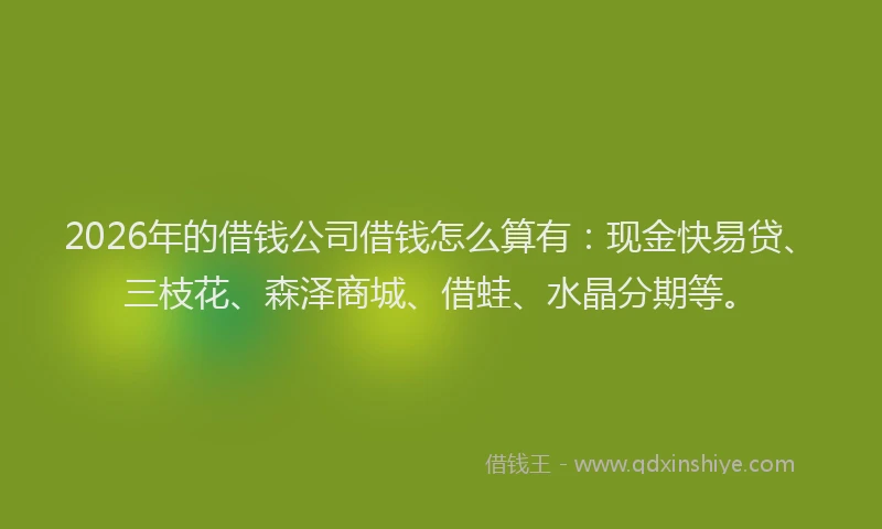 2026年的借钱公司借钱怎么算有:现金快易贷、三枝花、森泽商城、借蛙、水晶分期等。