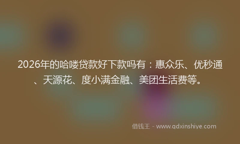 2026年的哈喽贷款好下款吗有：惠众乐、优秒通、天源花、度小满金融、美团生活费等。