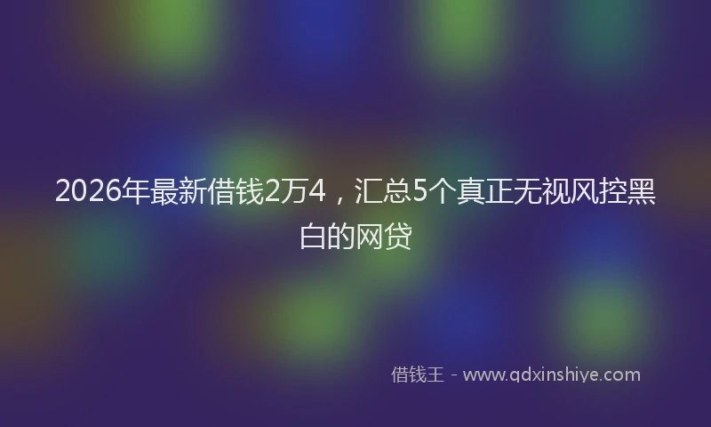 2026年最新借钱2万4，汇总5个真正无视风控黑白的网贷