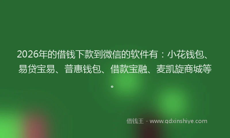 2026年的借钱下款到微信的软件有：小花钱包、易贷宝易、普惠钱包、借款宝融、麦凯旋商城等。