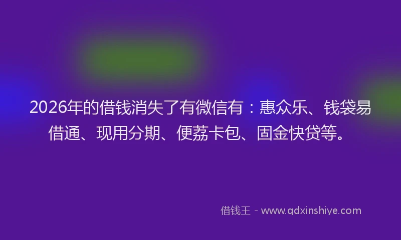 2026年的借钱消失了有微信有：惠众乐、钱袋易借通、现用分期、便荔卡包、固金快贷等。