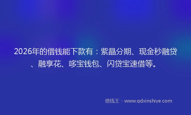 2026年的借钱能下款有：紫晶分期、现金秒融贷、融享花、哆宝钱包、闪贷宝速借等。