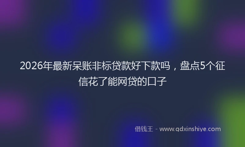 2026年最新呆账非标贷款好下款吗，盘点5个征信花了能网贷的口子