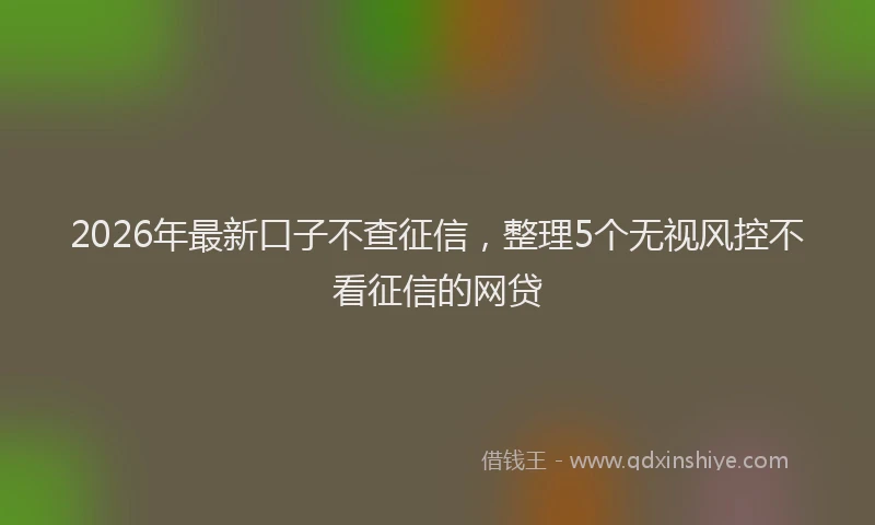 2026年最新口子不查征信,整理5个无视风控不看征信的网贷