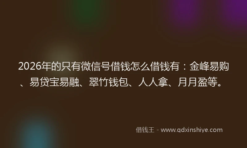 2026年的只有微信号借钱怎么借钱有:金峰易购、易贷宝易融、翠竹钱包、人人拿、月月盈等。