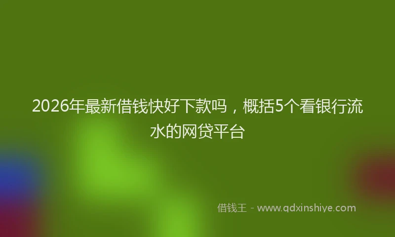 2026年最新借钱快好下款吗，概括5个看银行流水的网贷平台