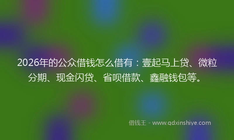 2026年的公众借钱怎么借有：壹起马上贷、微粒分期、现金闪贷、省呗借款、鑫融钱包等。