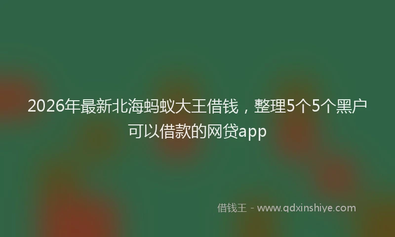 2026年最新北海蚂蚁大王借钱，整理5个5个黑户可以借款的网贷app