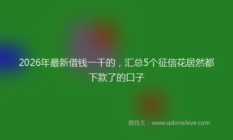 2026年最新借钱一千的,汇总5个征信花居然都下款了的口子