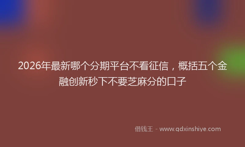 2026年最新哪个分期平台不看征信，概括五个金融创新秒下不要芝麻分的口子