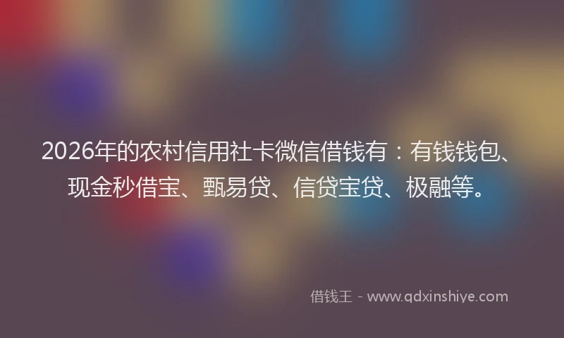 2026年的农村信用社卡微信借钱有：有钱钱包、现金秒借宝、甄易贷、信贷宝贷、极融等。