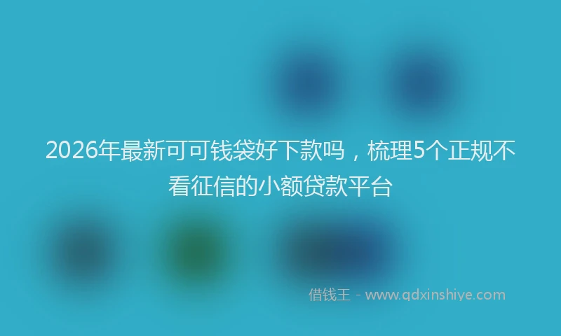 2026年最新可可钱袋好下款吗，梳理5个正规不看征信的小额贷款平台