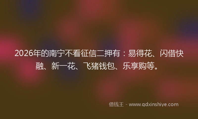 2026年的南宁不看征信二押有:易得花、闪借快融、新一花、飞猪钱包、乐享购等。