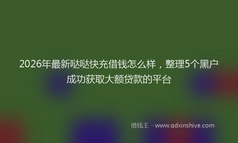2026年最新哒哒快充借钱怎么样,整理5个黑户成功获取大额贷款的平台