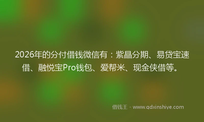 2026年的分付借钱微信有:紫晶分期、易贷宝速借、融悦宝Pro钱包、爱帮米、现金侠借等。