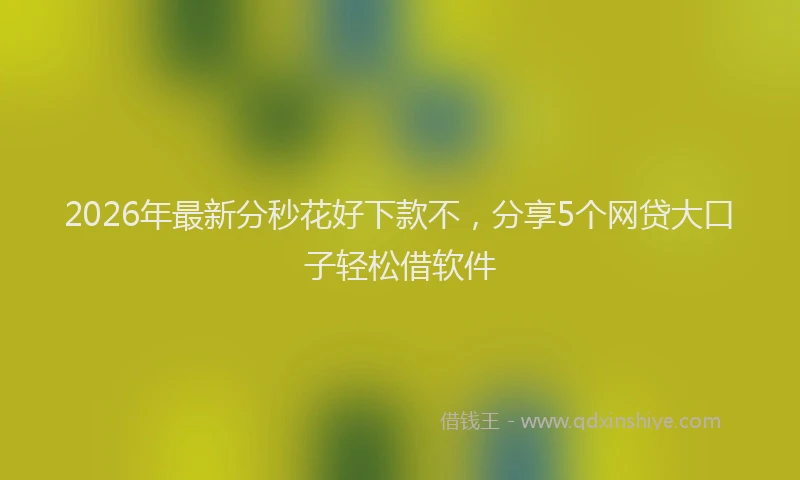 2026年最新分秒花好下款不，分享5个网贷大口子轻松借软件