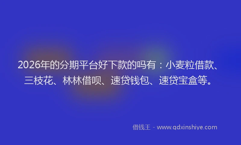 2026年的分期平台好下款的吗有:小麦粒借款、三枝花、林林借呗、速贷钱包、速贷宝盒等。