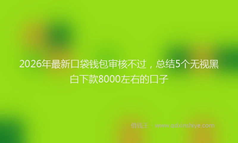 2026年最新口袋钱包审核不过，总结5个无视黑白下款8000左右的口子