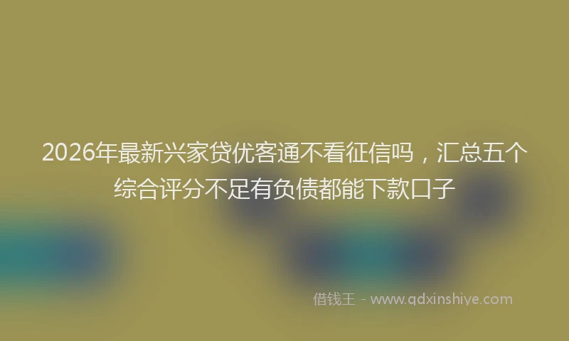 2026年最新兴家贷优客通不看征信吗，汇总五个综合评分不足有负债都能下款口子