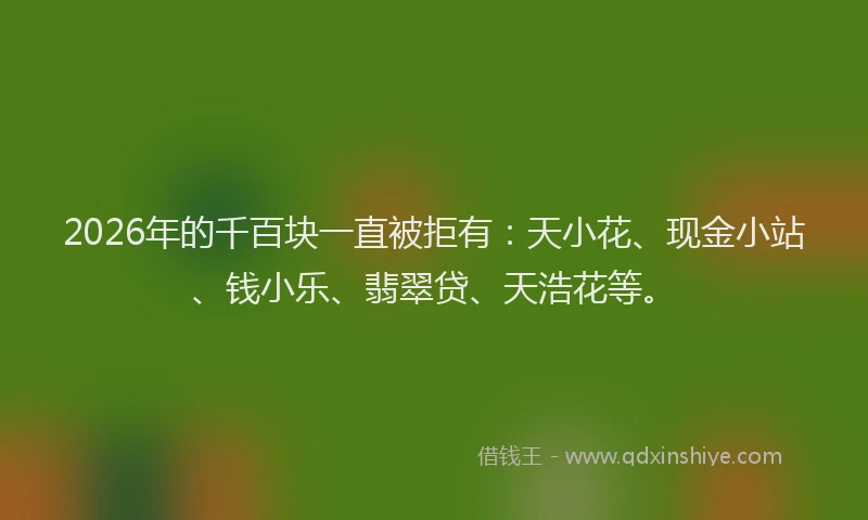2026年的千百块一直被拒有：天小花、现金小站、钱小乐、翡翠贷、天浩花等。
