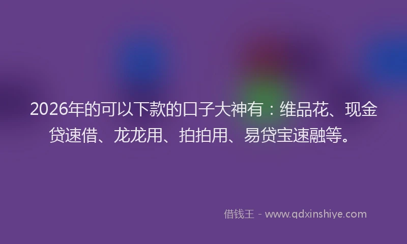 2026年的可以下款的口子大神有:维品花、现金贷速借、龙龙用、拍拍用、易贷宝速融等。