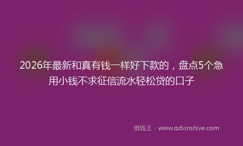 2026年最新和真有钱一样好下款的，盘点5个急用小钱不求征信流水轻松贷的口子