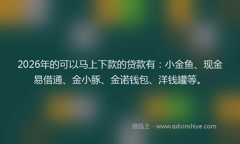 2026年的可以马上下款的贷款有:小金鱼、现金易借通、金小豚、金诺钱包、洋钱罐等。