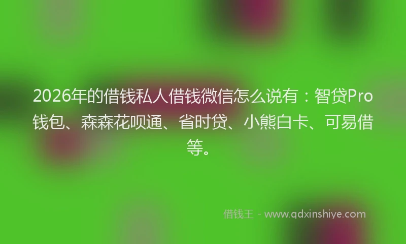 2026年的借钱私人借钱微信怎么说有：智贷Pro钱包、森森花呗通、省时贷、小熊白卡、可易借等。