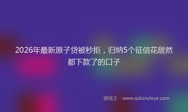 2026年最新原子贷被秒拒，归纳5个征信花居然都下款了的口子