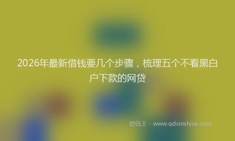 2026年最新借钱要几个步骤，梳理五个不看黑白户下款的网贷
