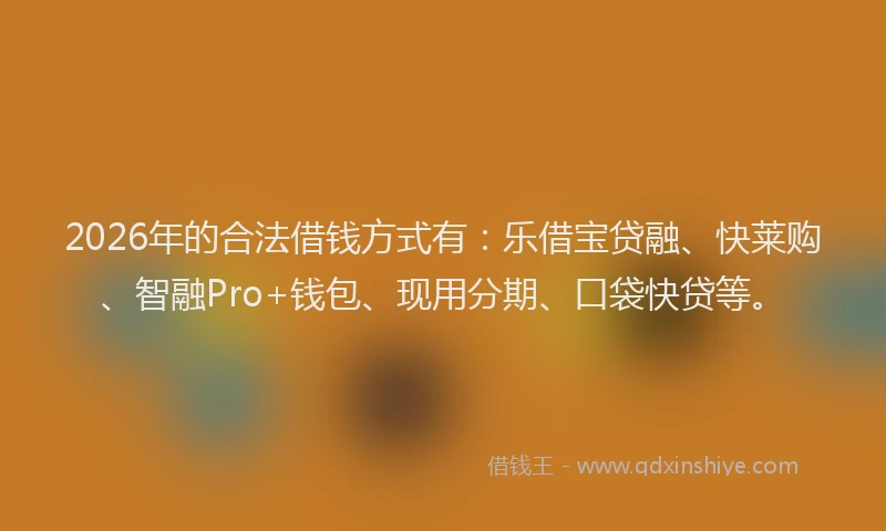 2026年的合法借钱方式有:乐借宝贷融、快莱购、智融Pro+钱包、现用分期、口袋快贷等。