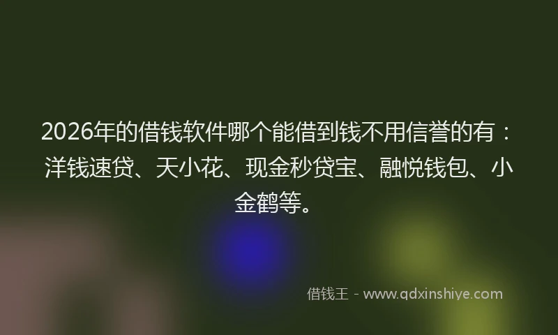 2026年的借钱软件哪个能借到钱不用信誉的有：洋钱速贷、天小花、现金秒贷宝、融悦钱包、小金鹤等。