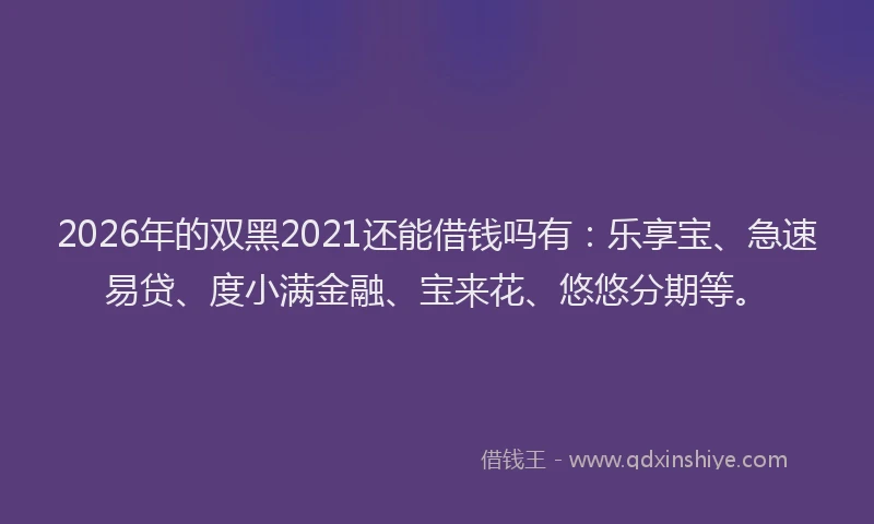2026年的双黑2021还能借钱吗有：乐享宝、急速易贷、度小满金融、宝来花、悠悠分期等。