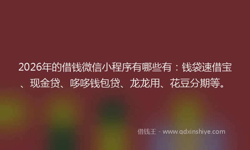 2026年的借钱微信小程序有哪些有：钱袋速借宝、现金贷、哆哆钱包贷、龙龙用、花豆分期等。