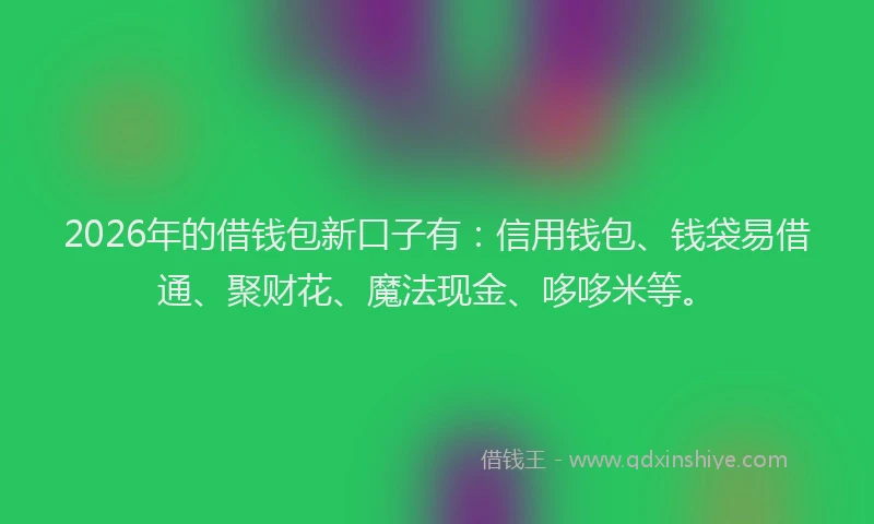 2026年的借钱包新口子有:信用钱包、钱袋易借通、聚财花、魔法现金、哆哆米等。