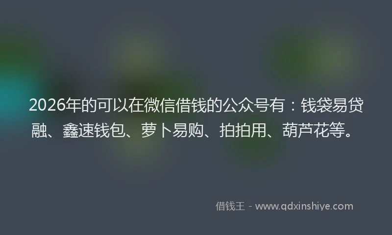 2026年的可以在微信借钱的公众号有：钱袋易贷融、鑫速钱包、萝卜易购、拍拍用、葫芦花等。