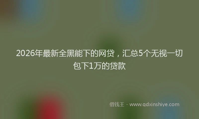 2026年最新全黑能下的网贷,汇总5个无视一切包下1万的贷款