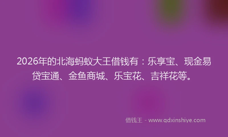 2026年的北海蚂蚁大王借钱有：乐享宝、现金易贷宝通、金鱼商城、乐宝花、吉祥花等。